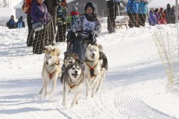 Lenk 2012 SM